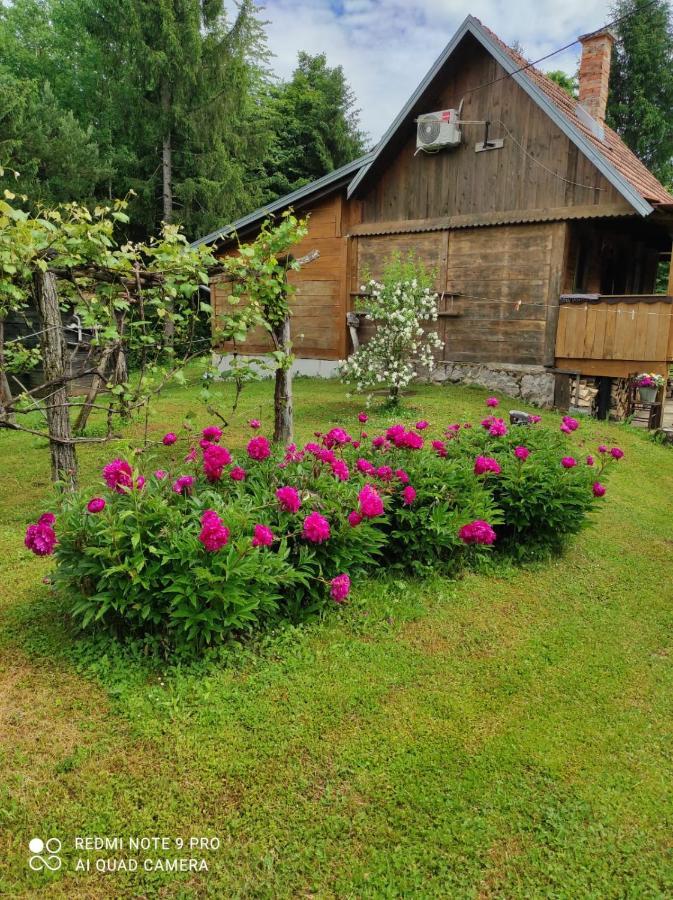 Dorina Hiza Villa Karlovac Exterior foto