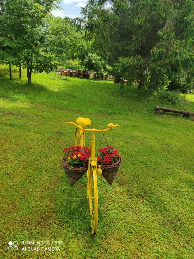 Dorina Hiza Villa Karlovac Exterior foto