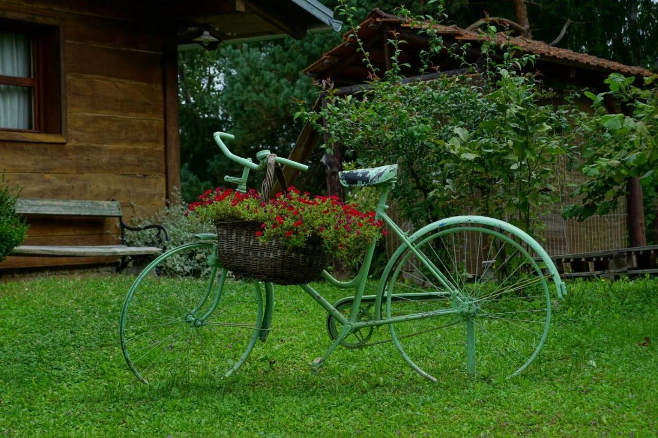 Dorina Hiza Villa Karlovac Exterior foto